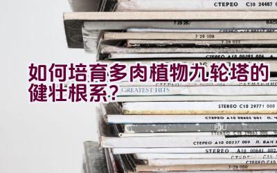 如何培育多肉植物九轮塔的健壮根系?插图 如何培育多肉植物九轮塔的健壮根系?插图