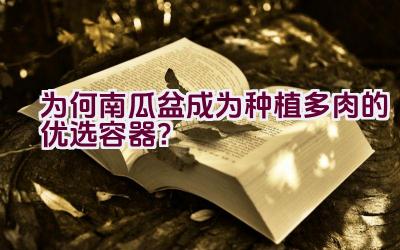 为何南瓜盆成为种植多肉的优选容器?插图 为何南瓜盆成为种植多肉的优选容器?插图