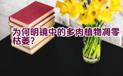 为何明镜中的多肉植物凋零枯萎？插图