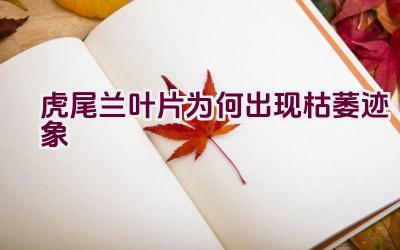 虎尾兰叶片为何出现枯萎迹象插图 虎尾兰叶片为何出现枯萎迹象插图