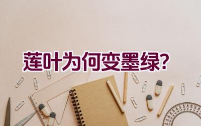 莲叶为何变墨绿？插图