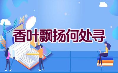 香叶飘扬何处寻插图