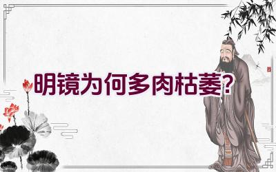 明镜为何多肉枯萎？插图