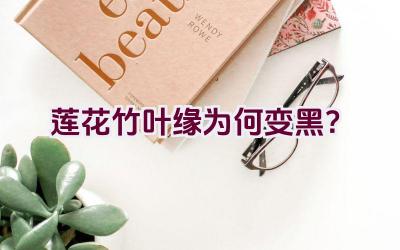 莲花竹叶缘为何变黑？插图