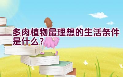 多肉植物最理想的生活条件是什么?插图 多肉植物最理想的生活条件是什么?插图