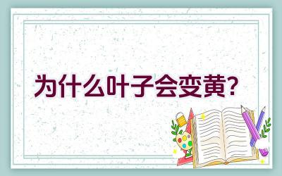 为什么叶子会变黄?插图 为什么叶子会变黄?插图