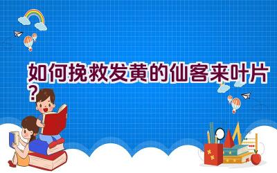 如何挽救发黄的仙客来叶片?插图 如何挽救发黄的仙客来叶片?插图