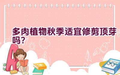 多肉植物秋季适宜修剪顶芽吗?插图 多肉植物秋季适宜修剪顶芽吗?插图