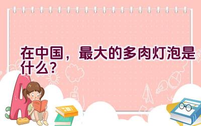 在中国,最大的多肉灯泡是什么?插图 在中国,最大的多肉灯泡是什么?插图