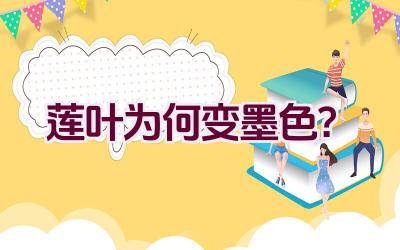 莲叶为何变墨色?插图 莲叶为何变墨色?插图