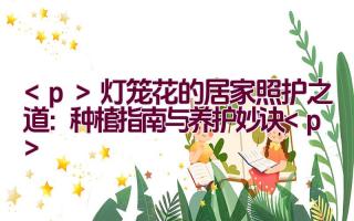 灯笼花的居家照护之道:种植指南与养护妙诀插图 灯笼花的居家照护之道:种植指南与养护妙诀插图