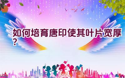 如何培育唐印使其叶片宽厚?插图 如何培育唐印使其叶片宽厚?插图