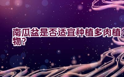 南瓜盆是否适宜种植多肉植物？插图