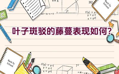 叶子斑驳的藤蔓表现如何?插图 叶子斑驳的藤蔓表现如何?插图