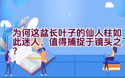 为何这盆长叶子的仙人柱如此迷人,值得捕捉于镜头之下?插图 为何这盆长叶子的仙人柱如此迷人,值得捕捉于镜头之下?插图