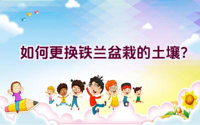 如何更换铁兰盆栽的土壤?插图 如何更换铁兰盆栽的土壤?插图