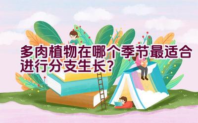 多肉植物在哪个季节最适合进行分支生长?插图 多肉植物在哪个季节最适合进行分支生长?插图