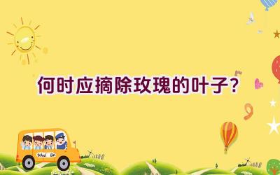 何时应摘除玫瑰的叶子?插图 何时应摘除玫瑰的叶子?插图