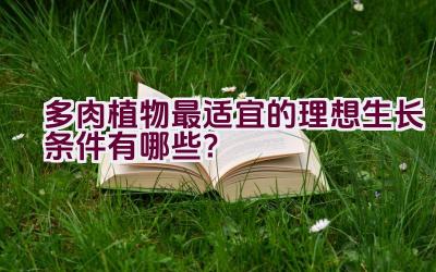 多肉植物最适宜的理想生长条件有哪些?插图 多肉植物最适宜的理想生长条件有哪些?插图