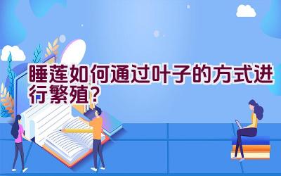 睡莲如何通过叶子的方式进行繁殖?插图 睡莲如何通过叶子的方式进行繁殖?插图
