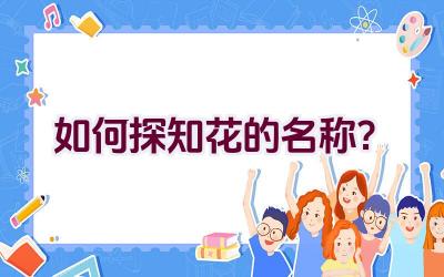 如何探知花的名称?插图 如何探知花的名称?插图