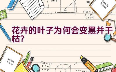 花卉的叶子为何会变黑并干枯？插图