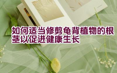 如何适当修剪龟背植物的根茎以促进健康生长插图 如何适当修剪龟背植物的根茎以促进健康生长插图