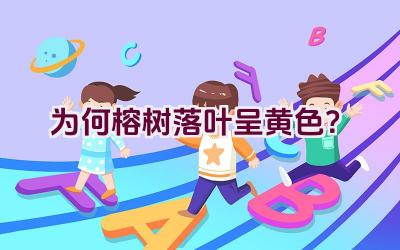 为何榕树落叶呈黄色?插图 为何榕树落叶呈黄色?插图