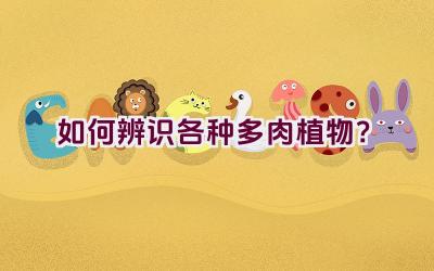 如何辨识各种多肉植物?插图 如何辨识各种多肉植物?插图