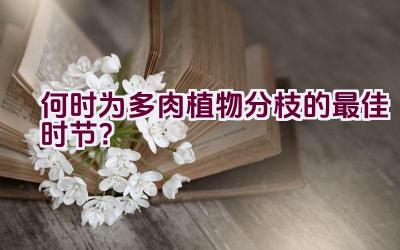 何时为多肉植物分枝的最佳时节?插图 何时为多肉植物分枝的最佳时节?插图