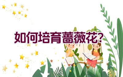 如何培育蔷薇花?插图 如何培育蔷薇花?插图
