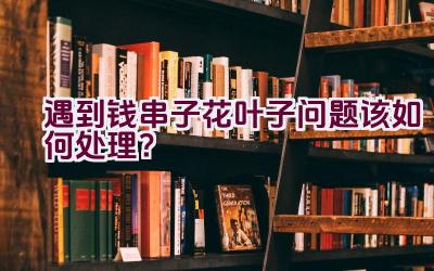 遇到钱串子花叶子问题该如何处理?插图 遇到钱串子花叶子问题该如何处理?插图