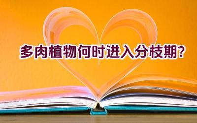 多肉植物何时进入分枝期?插图 多肉植物何时进入分枝期?插图