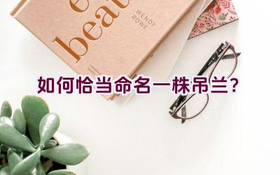 如何恰当命名一株吊兰?插图 如何恰当命名一株吊兰?插图