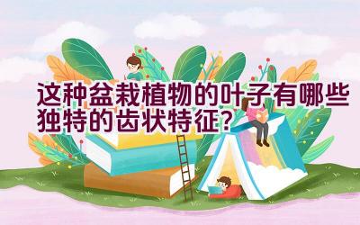 这种盆栽植物的叶子有哪些独特的齿状特征?插图 这种盆栽植物的叶子有哪些独特的齿状特征?插图