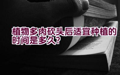 植物多肉砍头后适宜种植的时间是多久?插图 植物多肉砍头后适宜种植的时间是多久?插图