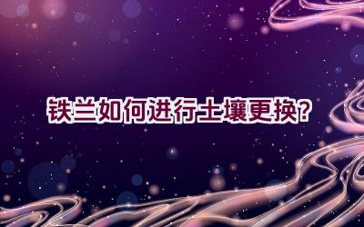 铁兰如何进行土壤更换？插图