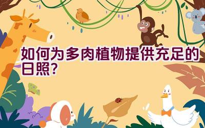 如何为多肉植物提供充足的日照?插图 如何为多肉植物提供充足的日照?插图