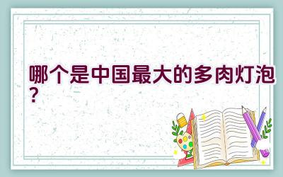 哪个是中国最大的多肉灯泡?插图 哪个是中国最大的多肉灯泡?插图