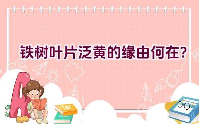 铁树叶片泛黄的缘由何在?插图 铁树叶片泛黄的缘由何在?插图