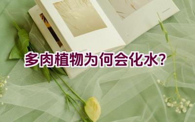 多肉植物为何会化水？插图