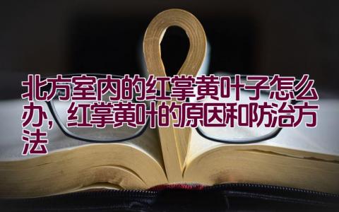 北方室内的红掌黄叶子怎么办,红掌黄叶的原因和防治方法插图 北方室内的红掌黄叶子怎么办,红掌黄叶的原因和防治方法插图