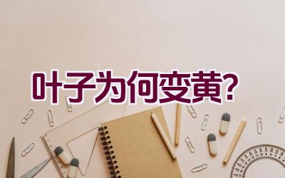 叶子为何变黄?插图 叶子为何变黄?插图