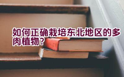 如何正确栽培东北地区的多肉植物?插图 如何正确栽培东北地区的多肉植物?插图