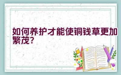 如何养护才能使铜钱草更加繁茂?插图 如何养护才能使铜钱草更加繁茂?插图