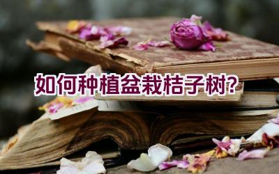如何种植盆栽桔子树?插图 如何种植盆栽桔子树?插图