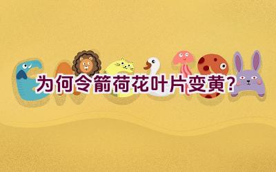 为何令箭荷花叶片变黄?插图 为何令箭荷花叶片变黄?插图