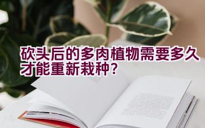 砍头后的多肉植物需要多久才能重新栽种?插图 砍头后的多肉植物需要多久才能重新栽种?插图