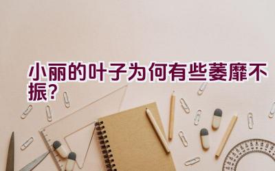 小丽的叶子为何有些萎靡不振?插图 小丽的叶子为何有些萎靡不振?插图