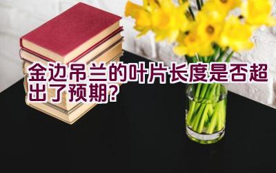 金边吊兰的叶片长度是否超出了预期？插图